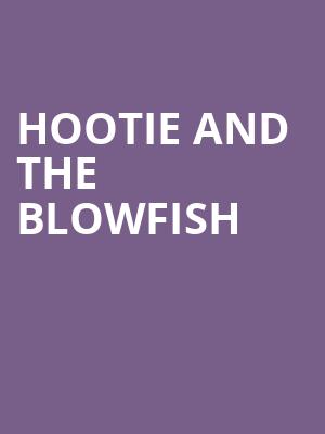 Hootie and the Blowfish Poster