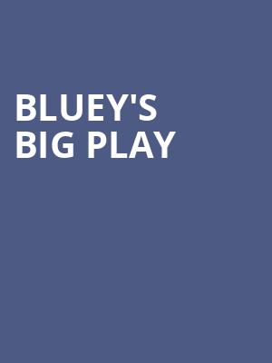 Blueys Big Play, Toyota Oakdale Theatre, Hartford