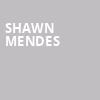 Shawn Mendes, Mohegan Sun Arena, Hartford