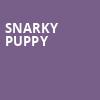 Snarky Puppy, Jorgensen Center for the Performing Arts, Hartford