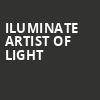 iLuminate Artist of Light, Mortensen Hall Bushnell Theatre, Hartford